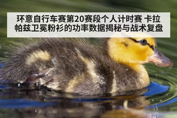 环意自行车赛第20赛段个人计时赛 卡拉帕兹卫冕粉衫的功率数据揭秘与战术复盘