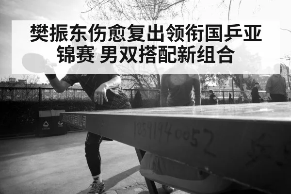 樊振东伤愈复出领衔国乒亚锦赛 男双搭配新组合