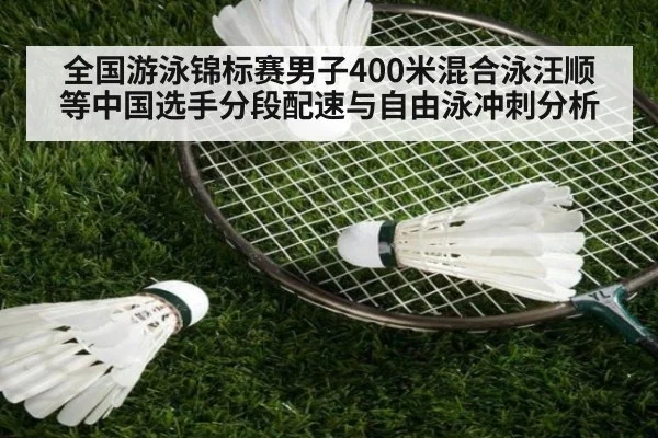 全国游泳锦标赛男子400米混合泳汪顺等中国选手分段配速与自由泳冲刺分析